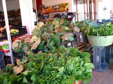 [Mercado_Tocha_2.jpg]