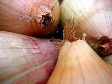 [Cebolas_compridas_de_Arouca_1.jpg]