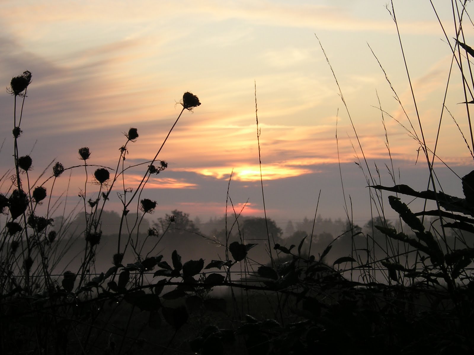[paysage+limousin.JPG]
