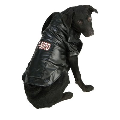 [1950s+leather+motorcycle+dog+jacket.jpg]