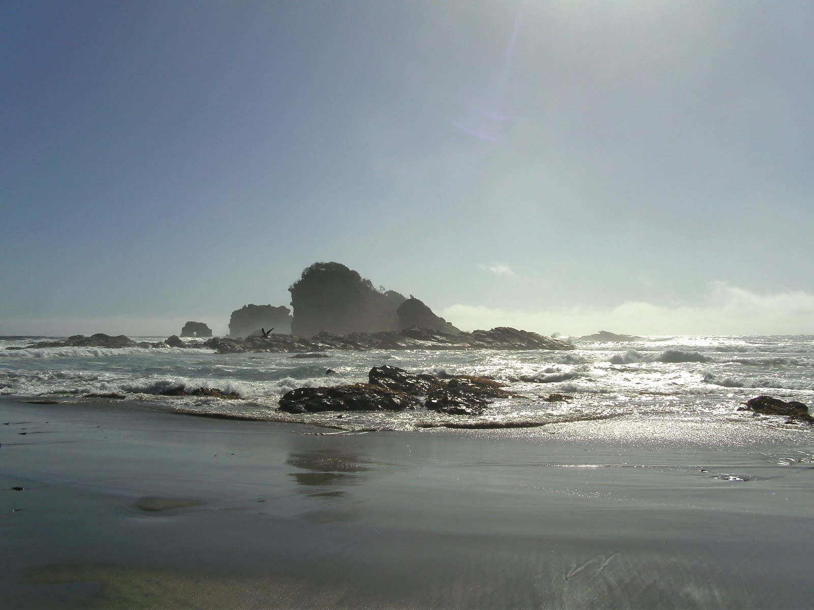 En un mundo mi fragilidad Pucatrihue