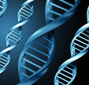 سلاسل الحمض النووي تمتلك القدرة على التخاطر ، فهي تبني نفسها إعتماداً على سلاسل أخرى مجاورة لها