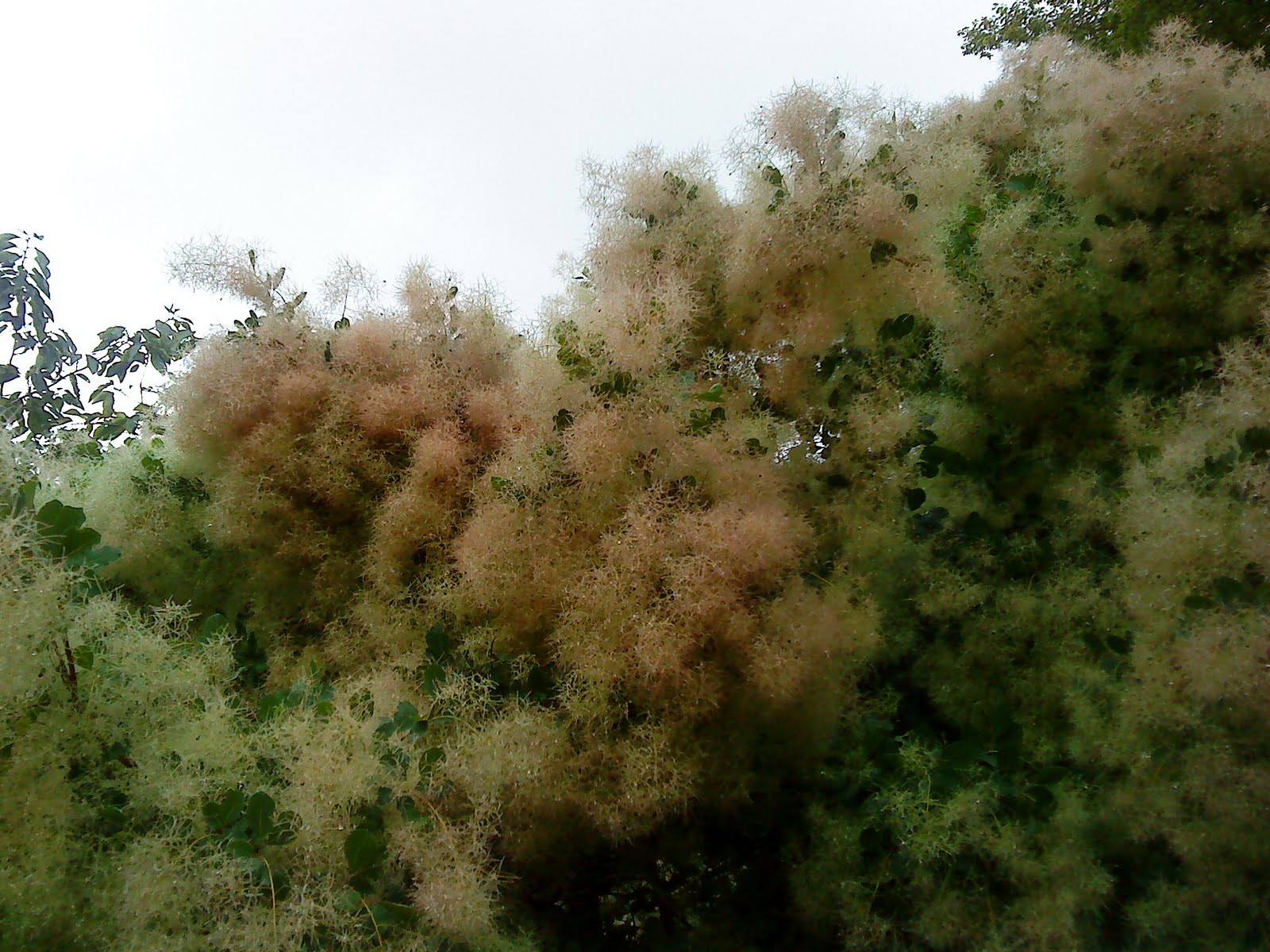 Wallpaper Hangers Portsmouth