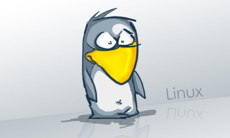 [2380452816_09bfa35fda_o.jpg]