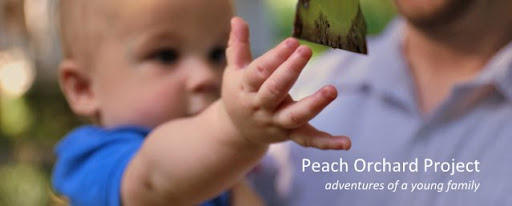 Peach Orchard Project