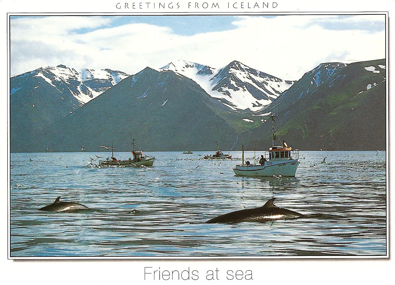 [ICELAND+FEBRUARI+26.jpg]