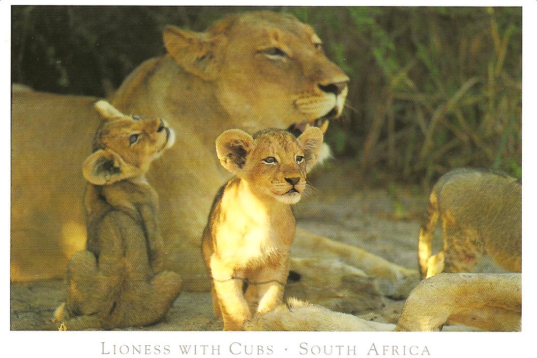 [SOUTH+AFRICA+AUG228+004.jpg]