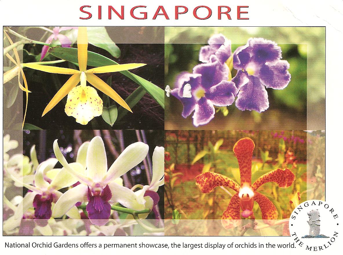 [SINGAPORE+march239+orchids.jpg]