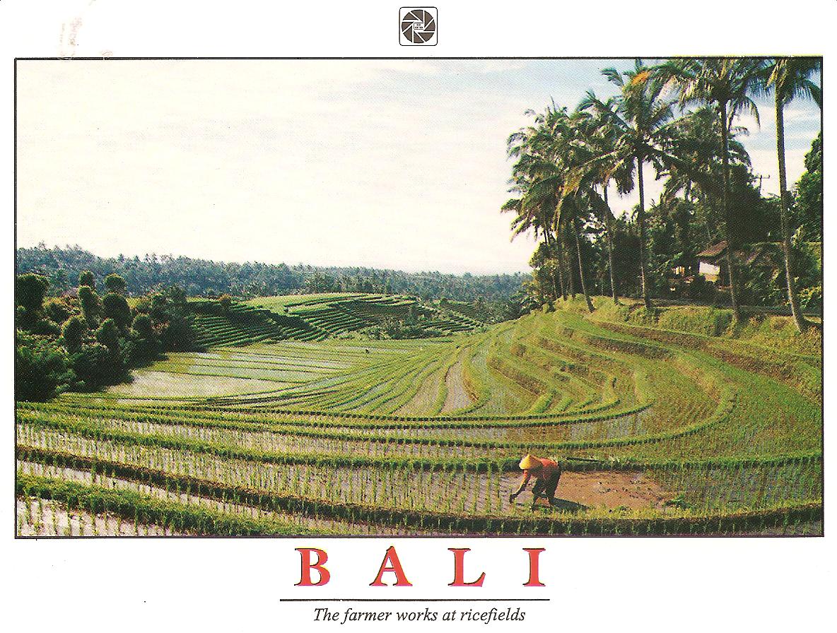 [BALI+march+309+003.jpg]