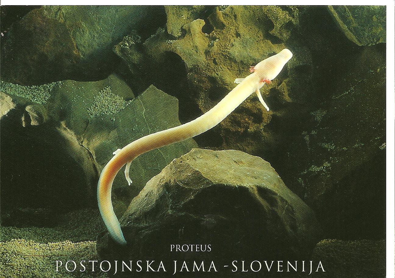 [SLOVENIA+april219.jpg]