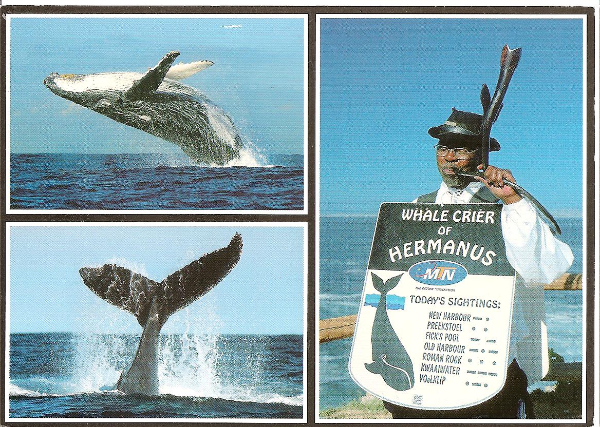 [South+Africa+may229.jpg]