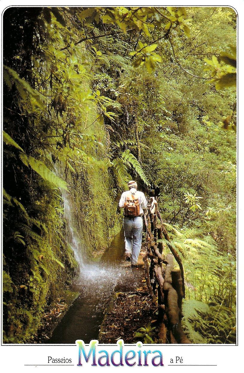 [MADEIRA+may279.jpg]