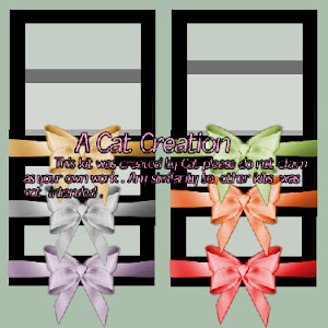 Autumn Ribbon Bow Frames