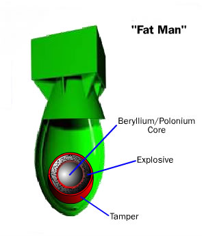 Nuclear For Peace: Difference between a Nuclear Reactor and a Nuclear Bomb