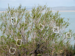 Lessons Not Lost on Me: 5/1/10 6/1/10