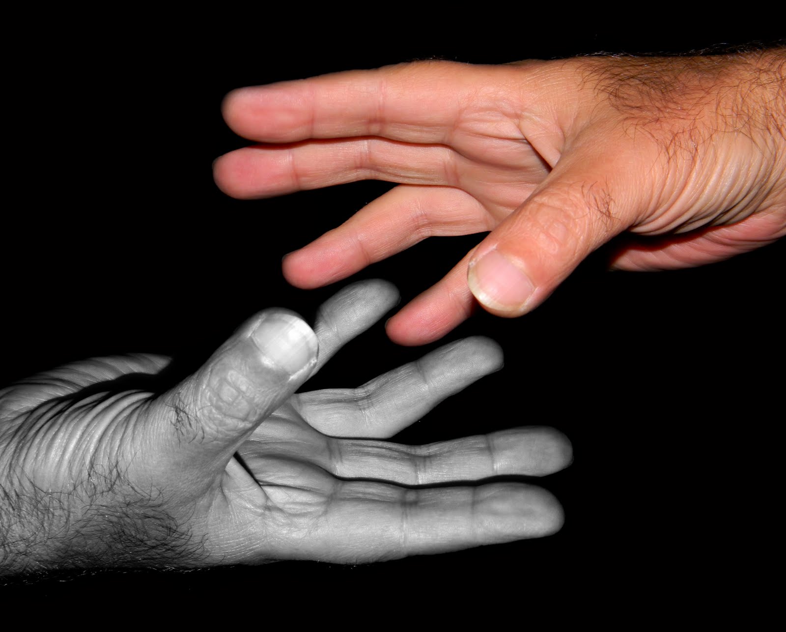 Manwell Carvalho Shake Hands