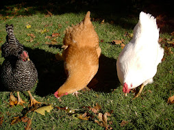 Delores, Beatrice, and Althea