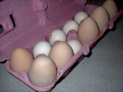 2009 Eggs