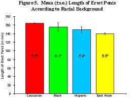 Average Penis Size Race 84