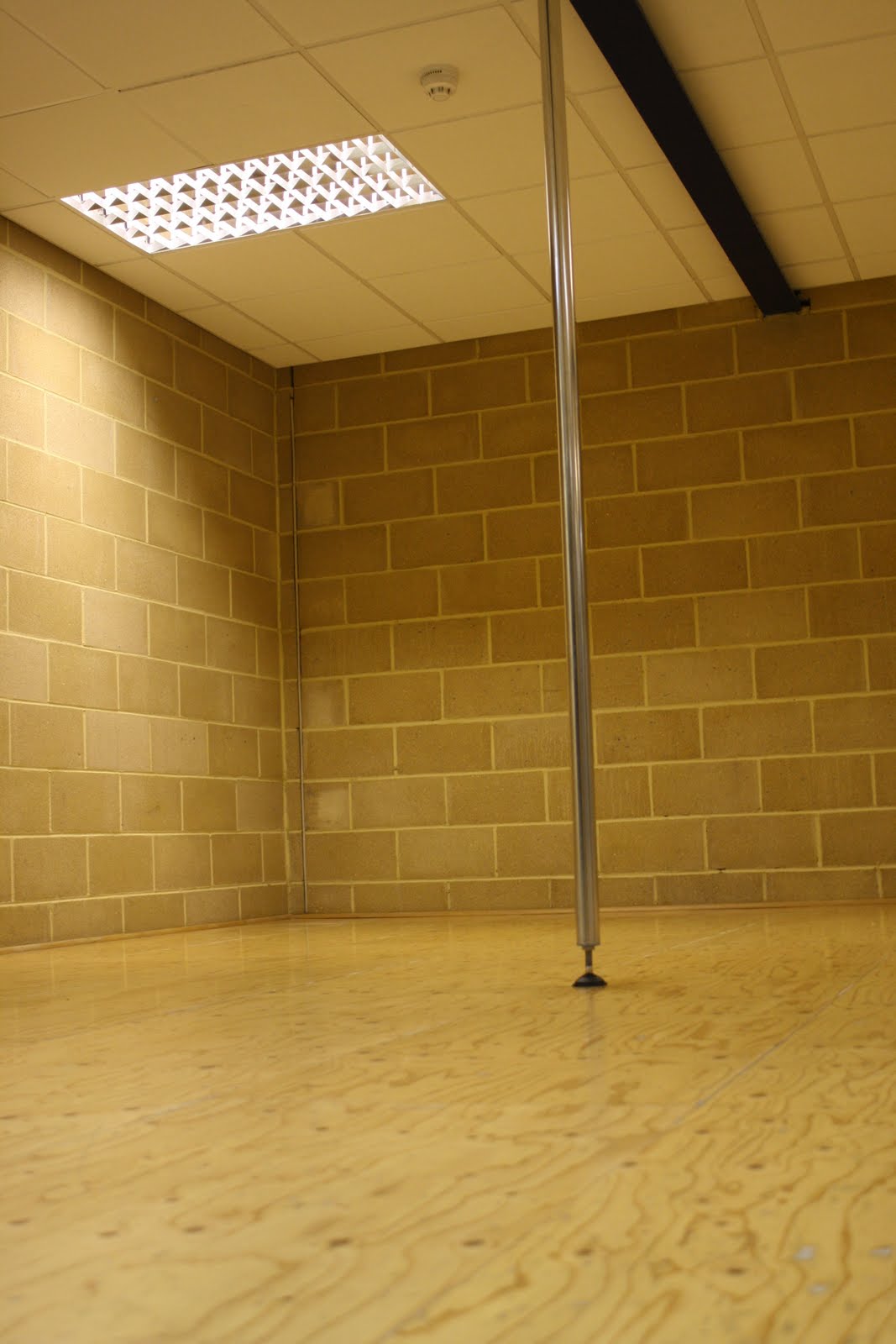 [Pole+dance+class+June+09+004.jpg]