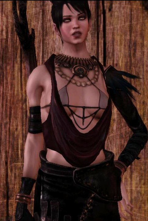 Tchos' Gaming and Modding: Morrigan and Leliana face and armour mods
