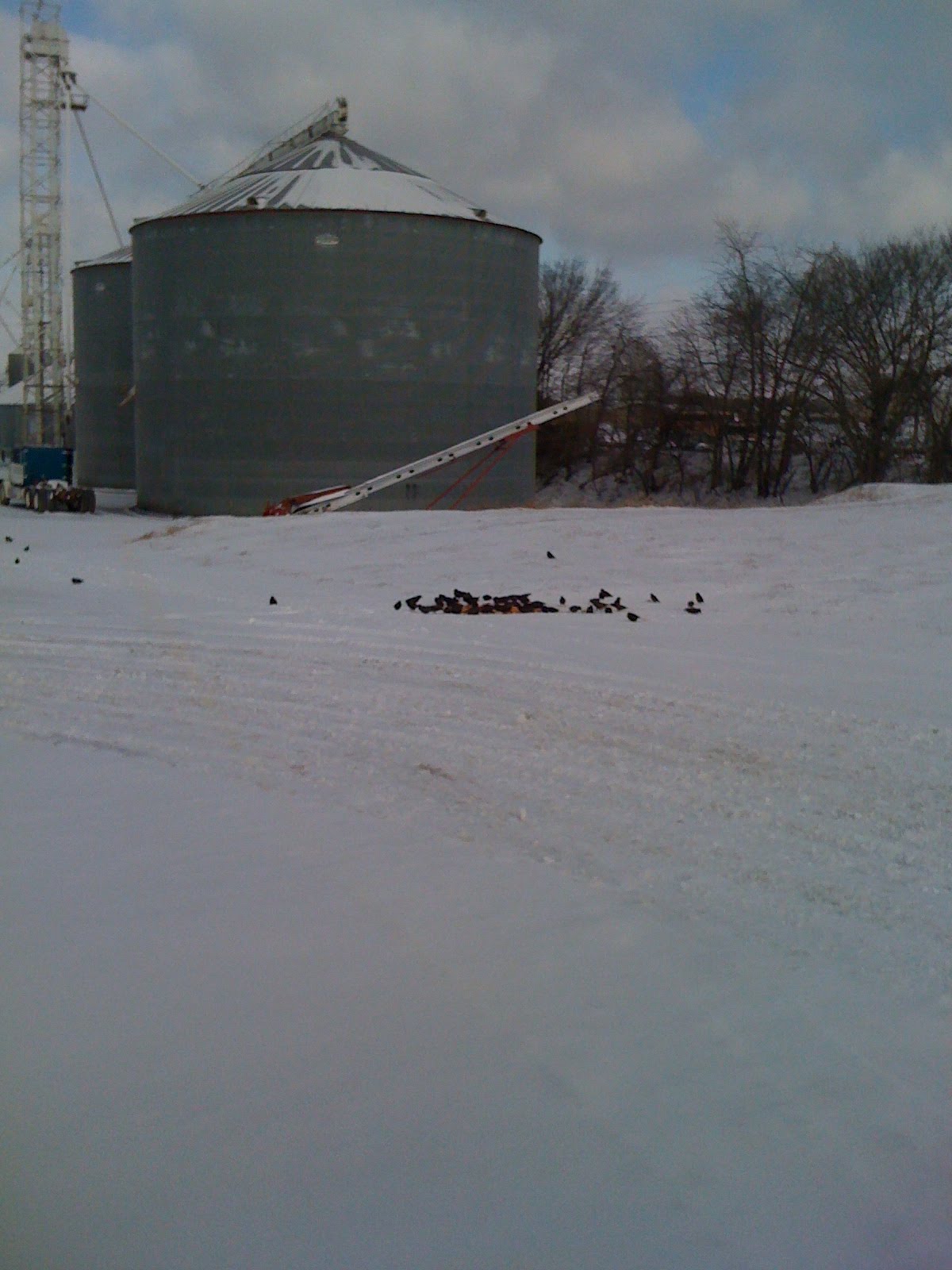 [IMG_1098[1]]