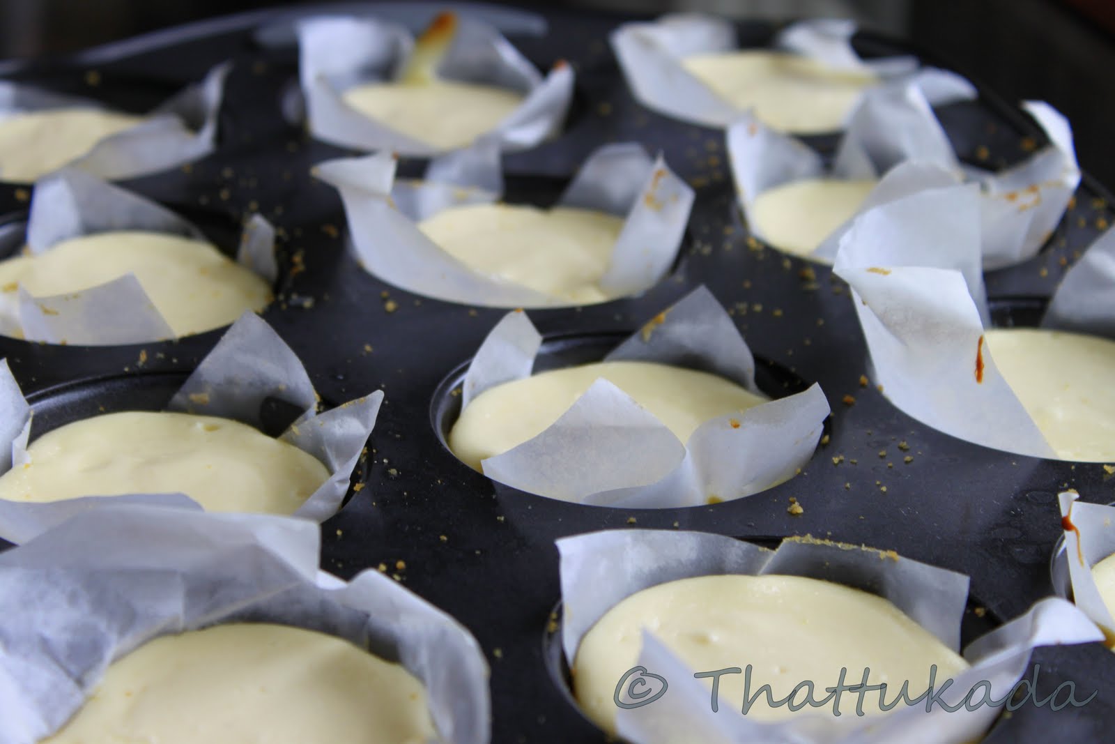 Mini Cheesecakes / Individual Cheesecake with Blueberry Sauce Thattukada