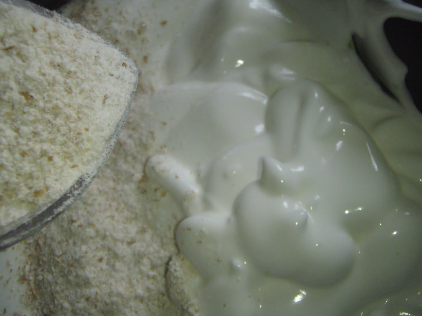 Quips, Travails and Braised Oxtails The Food Desert Project Toaster