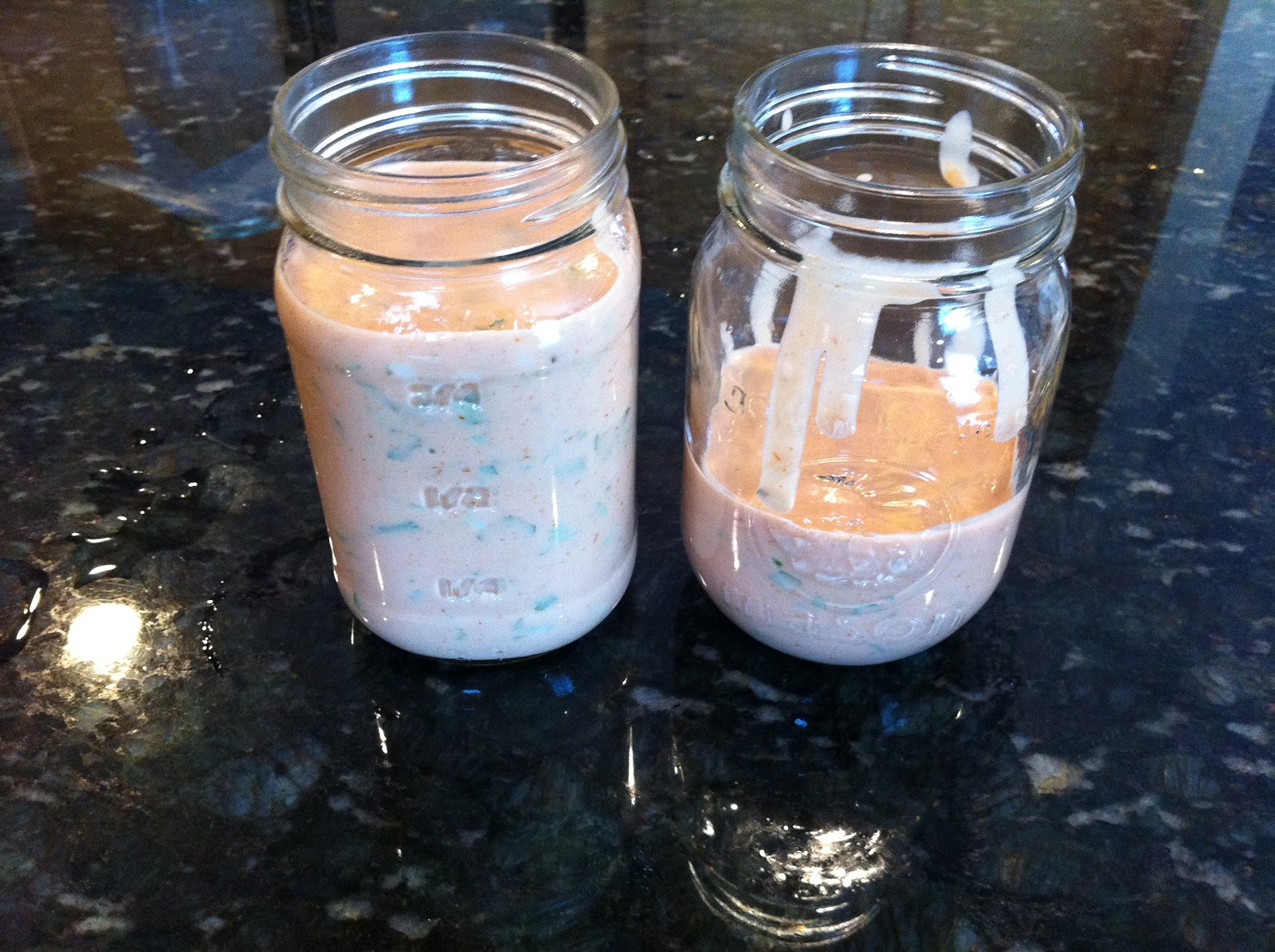 Tara Baklund Wellness Guide Thousand Island Dressing Dairyfree