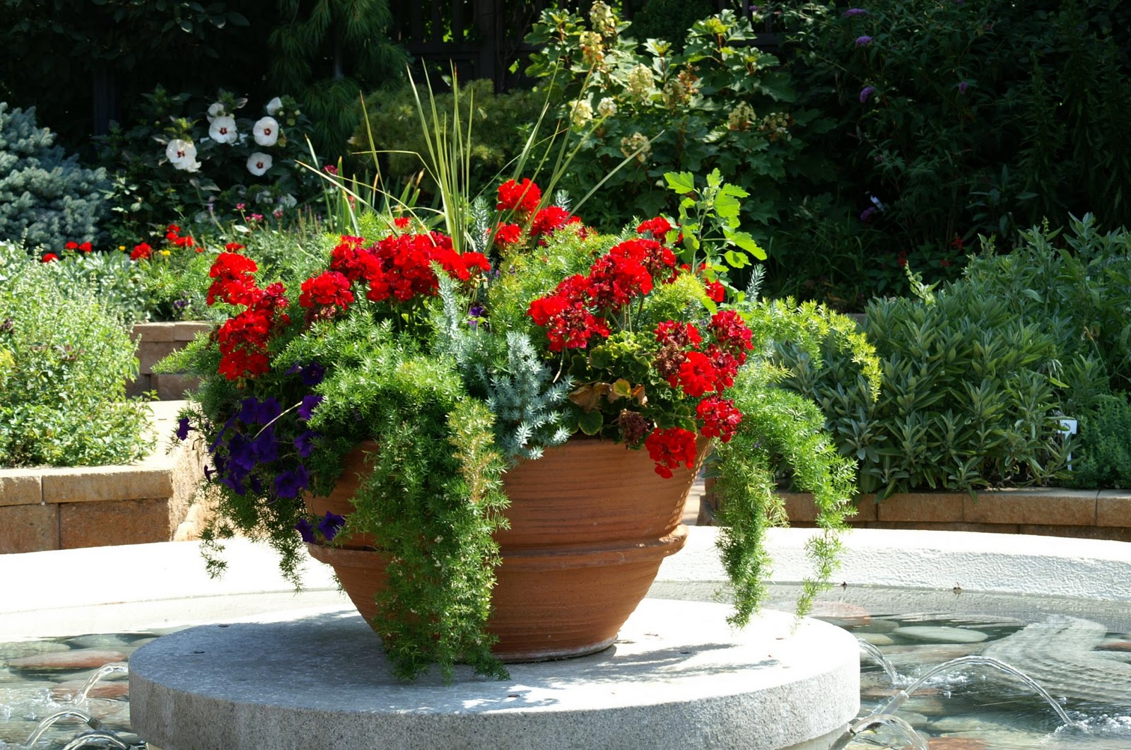 Aranjamente florale balcon, Poze amenajari balcon, Terase