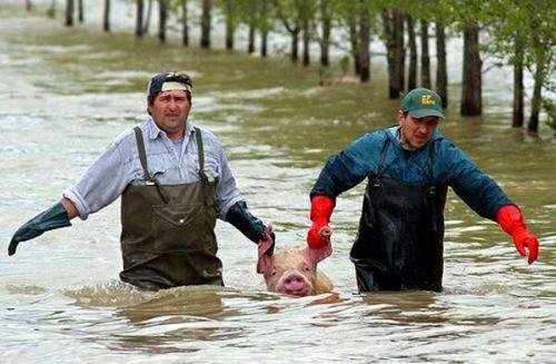 L'Albero della Vita sostiene, in collaborazione con l'Associazione italia - Moldavia ONLUS.