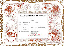 Our Russian hounds brought us many satisfactions and....awards