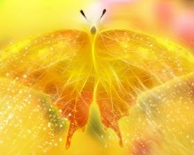 Biblical Meaning of Yellow Butterfly  