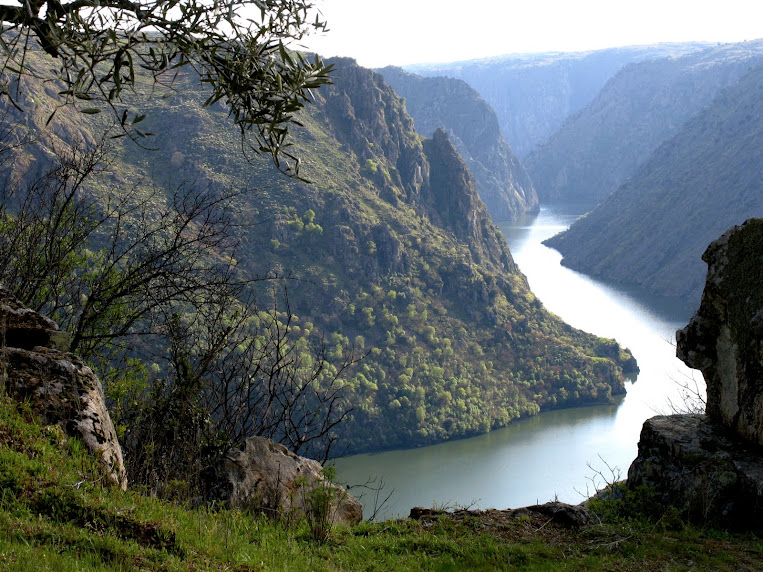 El sueño del río Duero
