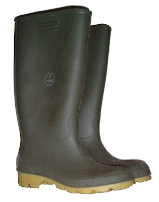 473px-Wellies.jpg