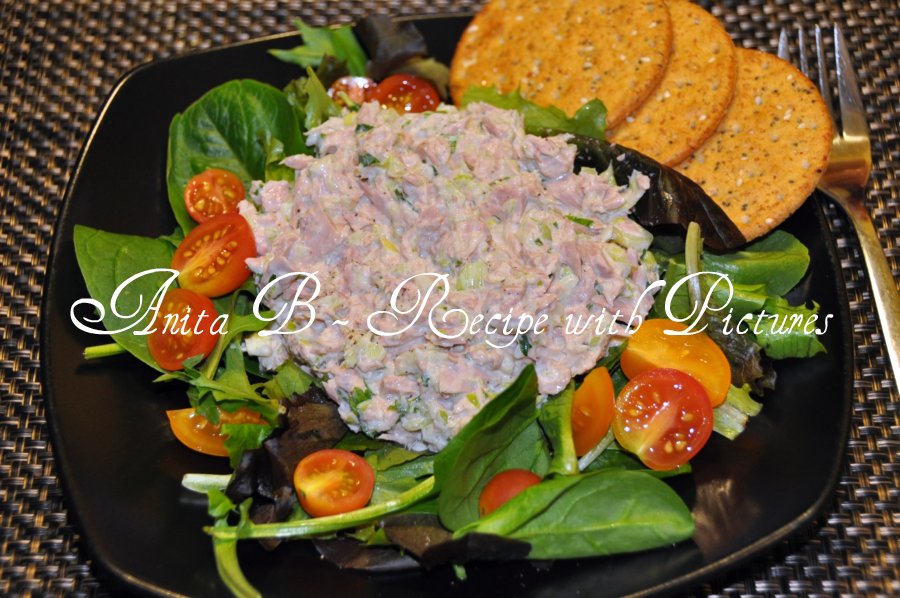 Scarsdale Diet Recipes Tuna Salad