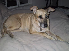 Lulu