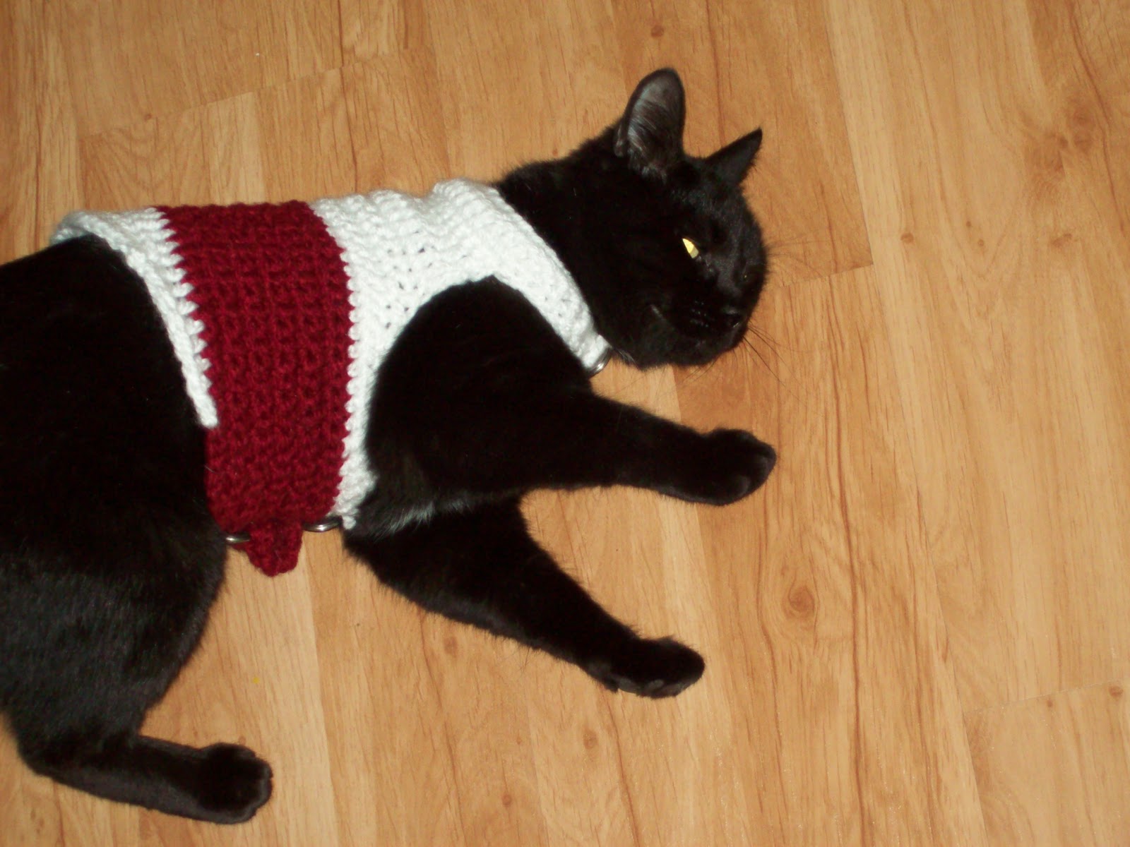 MoodyBlueFAMILY Cat Coats