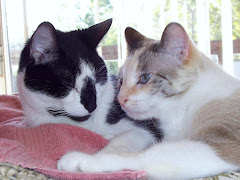 Gone but never forgotten ...