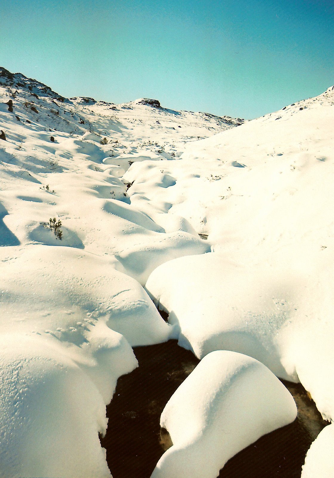 [Carris+28Fev06+19.jpg]