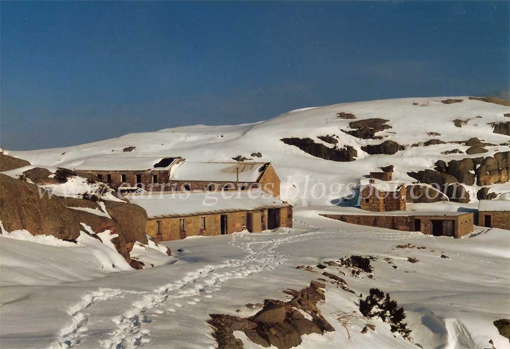 [Sem+data+Carris+06+blogue.jpg]