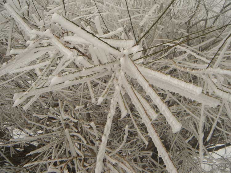 [DSCF2659blogue.jpg]