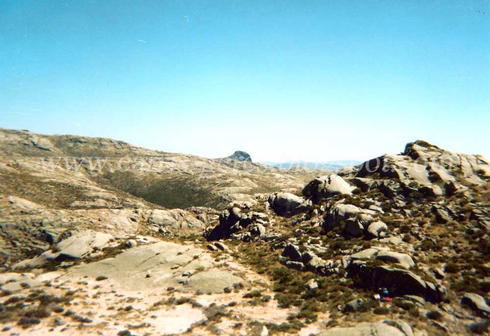 [Carris+14Ago94+05a.jpg]