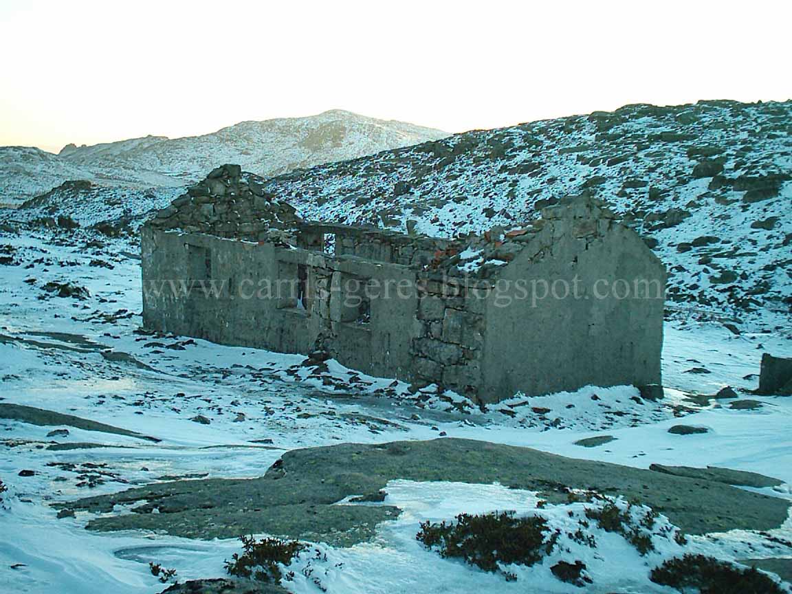 [IM003220+blogue.jpg]