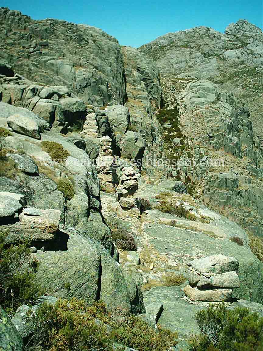 [IM002955a+blogue.jpg]