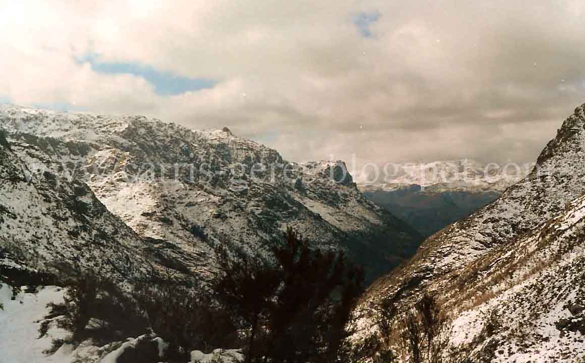 [11021986-01+blogue.jpg]