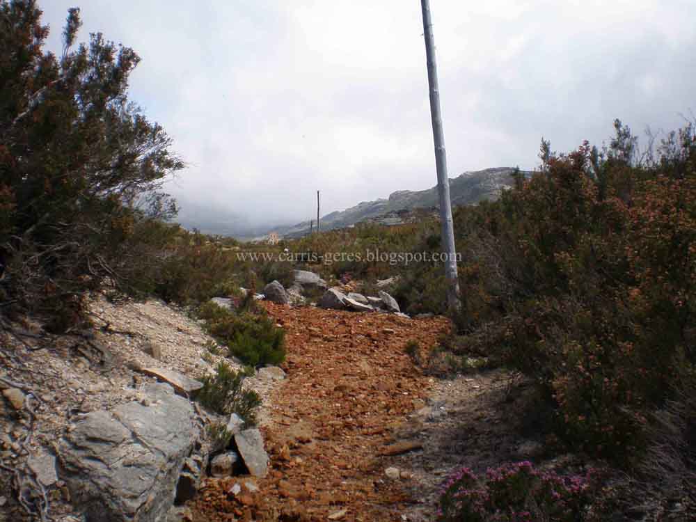 [CAMINHOS+ESCUROS+DE+VIDAS+NEGRASb.jpg]