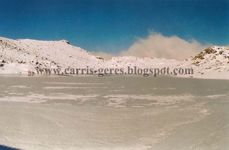 [Carris11012003+20+copy.jpg]