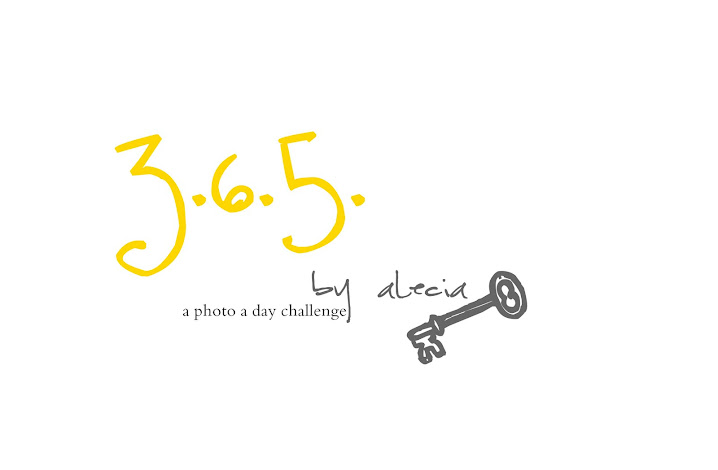 Alecia's 365 challenge