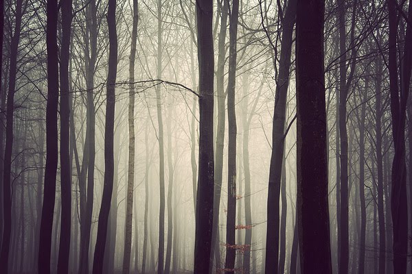 [565461237152800.jpg]